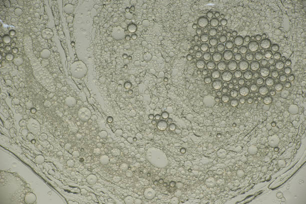 istock background of water bubbles colored 649267518