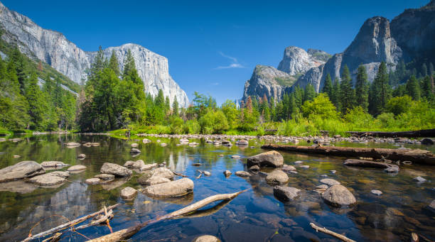 Yosemite Valley in summer, California, USA Classic view of scenic Yosemite Valley with famous El Capitan rock climbing summit and idyllic Merced river on a sunny day with blue sky and clouds in summer, Yosemite National Park, California, USA mariposa county stock pictures, royalty-free photos & images