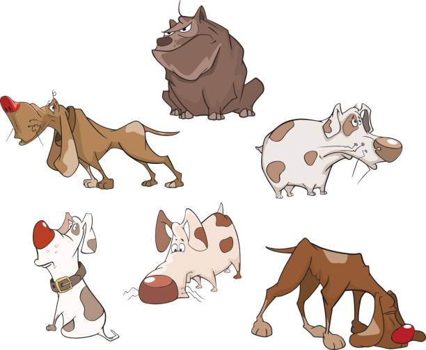 istock Set of Cute Dogs for you Design Cartoon Character 649278092