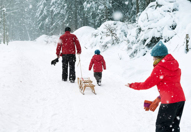 istock Father with his daughters pulling sled trough snowy winter forest 649282282