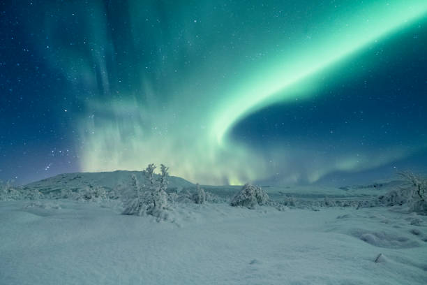 istock Aurora borealis in Iceland 649282698