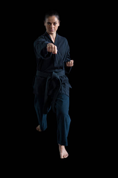 istock Female karate player performing karate stance 649282768