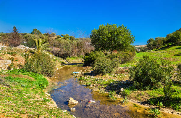River near Moulay Idriss Zerhoun in Morocco