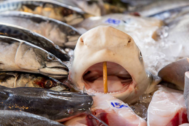 row of seafood in the Asian market