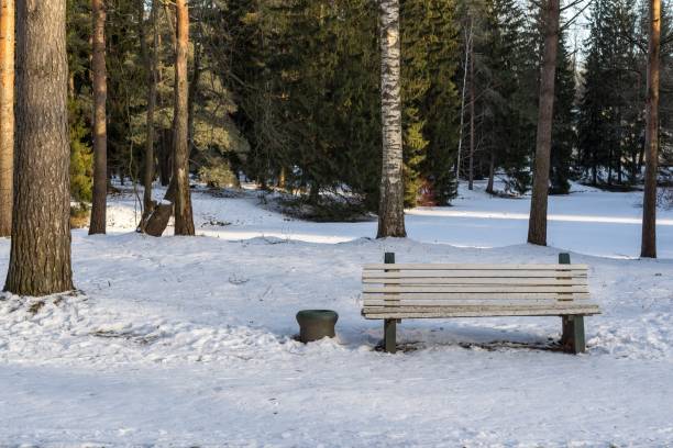 istock one bench on snow in the winter park 649289102