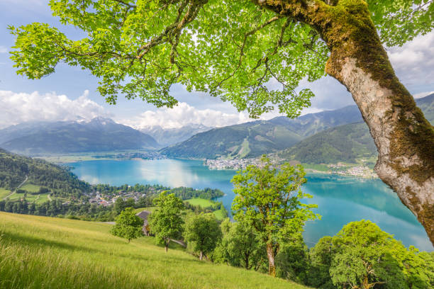 istock Zell am See, Salzburger Land, Austria 649290254