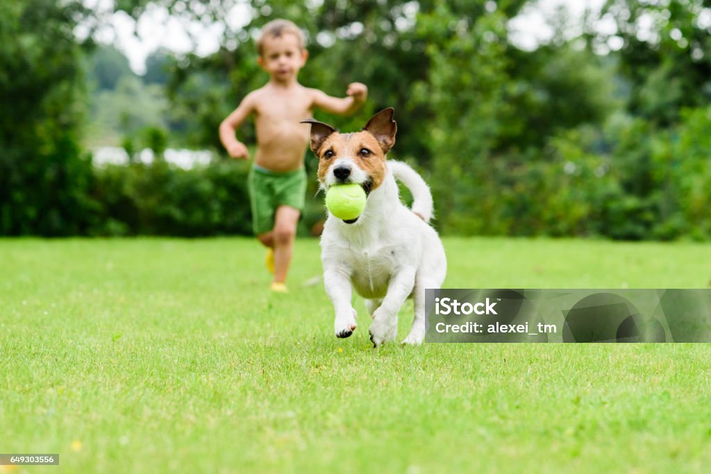 Chien avec ballon allant de l’enfant qui joue le jeu de catch-up - Photo de Chien libre de droits
