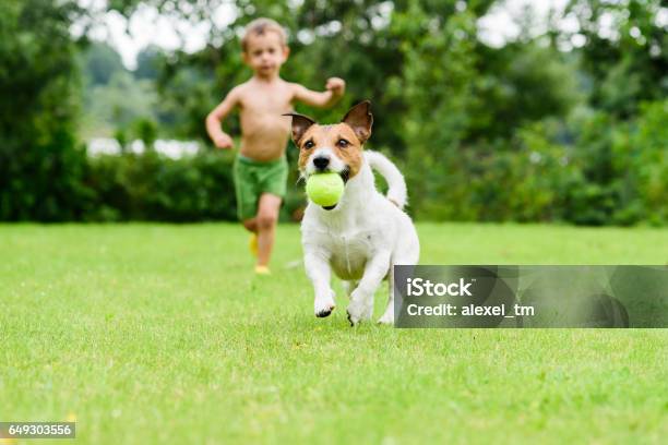 Photo libre de droit de Chien Avec Ballon Allant De Lenfant Qui Joue Le Jeu De Catchup banque d'images et plus d'images libres de droit de Chien