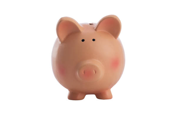 istock Pink piggy bank isolated on white 649308126