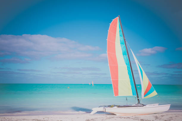 istock Catamaran on Tropical Beach, Cuba 649308922