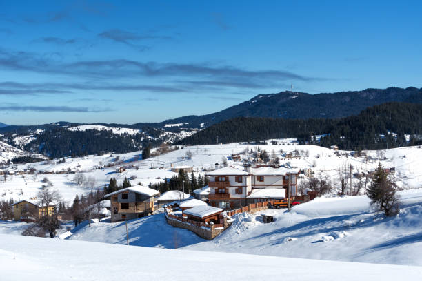 istock Winter forest scene. Small houses at the mountain. 649309086