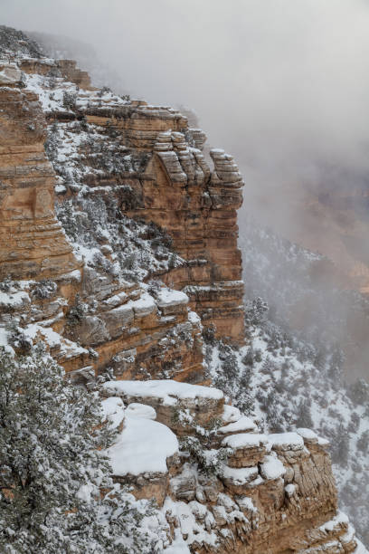 istock Winter Snow at the South Rim 649345908