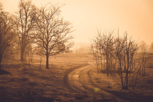 Dirty country road on the sandy terrain durring the sunset