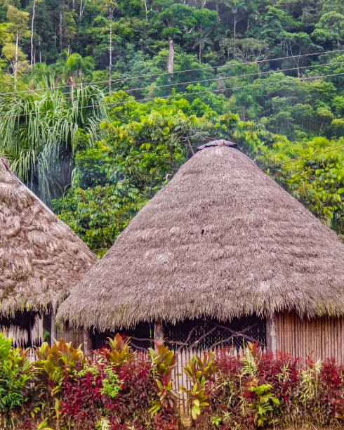 istock Indigenous Houses at Amazonia Ecuador 649356084