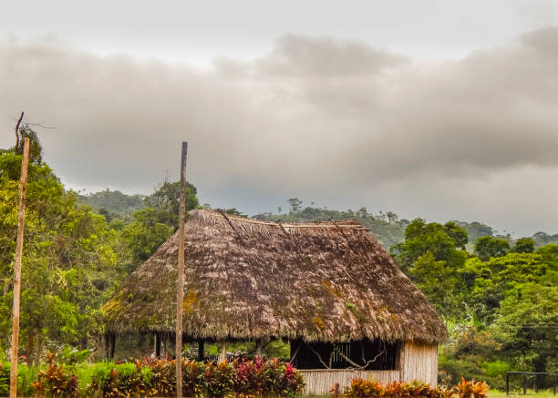 istock Indigenous Houses at Amazonia Ecuador 649356598