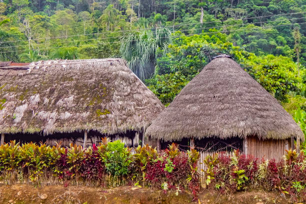 istock Indigenous Houses at Amazonia Ecuador 649359030