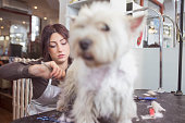 hund-pflege.jpg?b=1&s=170x170&k=20&c=zSwEXab7BKs_XYtCFpkR578I35FljXnBIOmo4076kJ0=