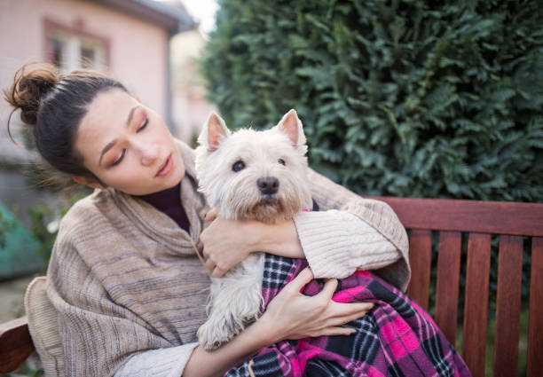 istock Beautiful young woman with dog 649364102