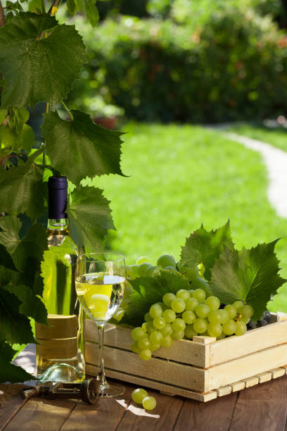 istock White wine bottle, glass, vine and grapes 649366960