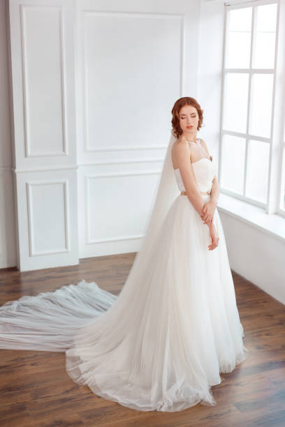 istock Bride in white wedding dress with long veil 649373968