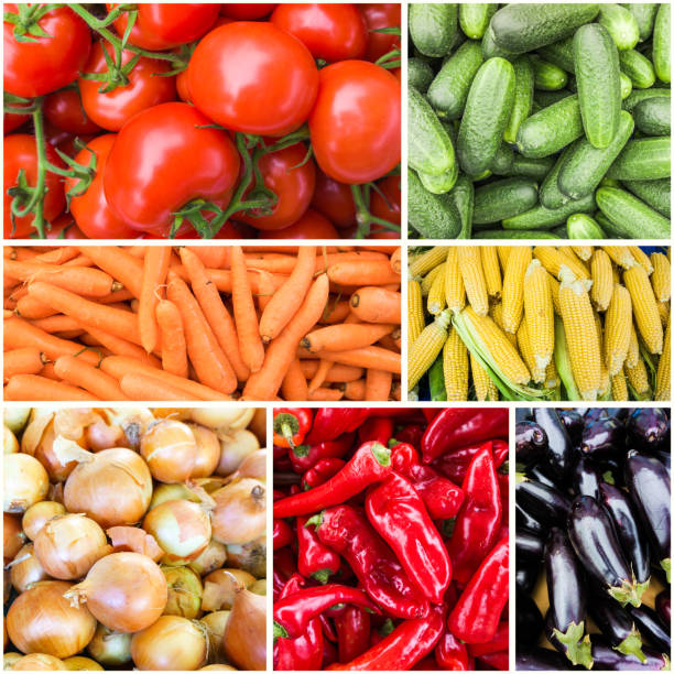 istock Collages of fresh vegetables. vegetables background 649379974