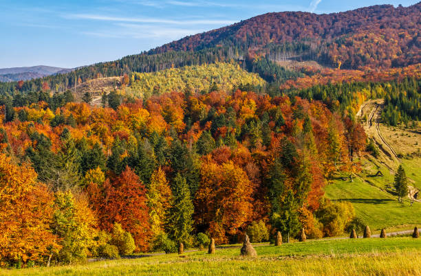 istock mountain rural area in autumn 649380170