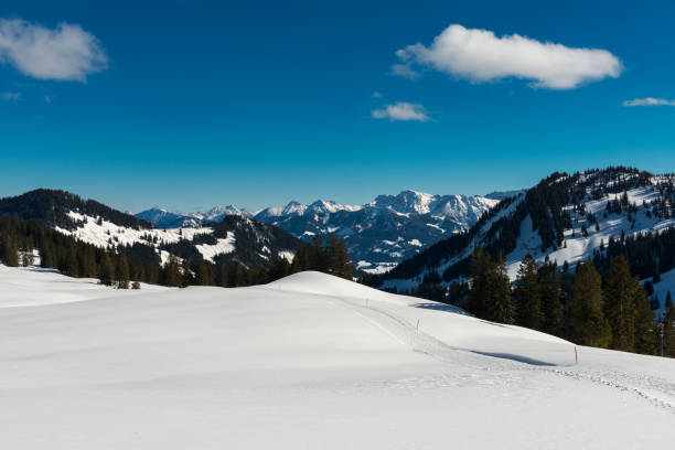 istock winter landscape in bavaria 649385324