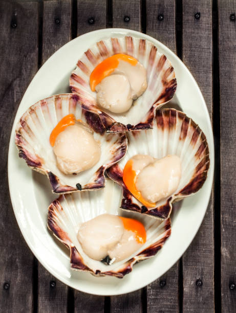 istock Fresh scallops on the white plate on the wood backround 649389960