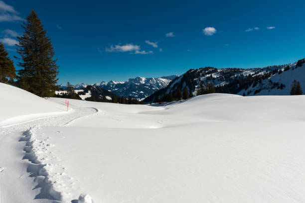 zimowy krajobraz w bawarii - oberstdorf zdjęcia i obrazy z banku zdjęć