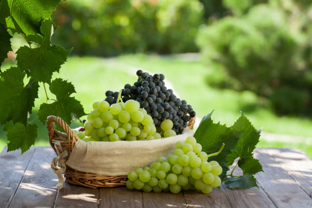 istock Colorful grapes in basket 649395944