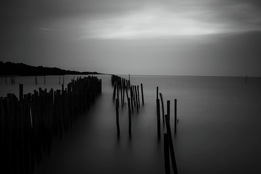 motion sea and silhouette bamboo logs. Super long exposure by big stopper with black and white process