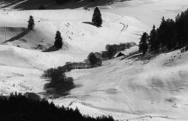istock Dospat Dam in a sunny winter day, Bulgaria 649402560