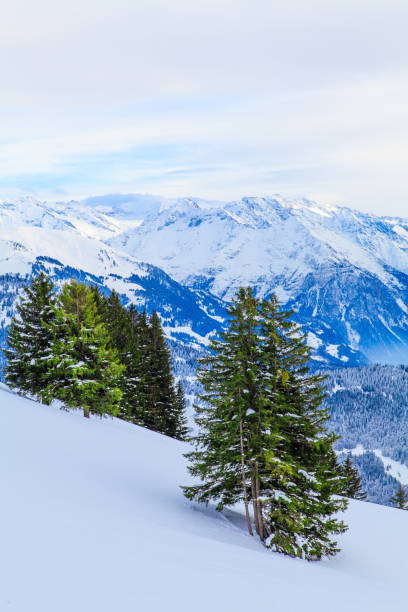 istock winter landscape.  winter background. mountains at winter 649415668