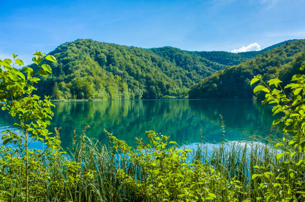 istock Plitvice Lakes National Park Croatia Europe 649440830