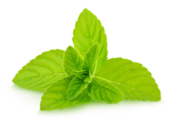 istock Fresh raw mint leaves isolated 649441066