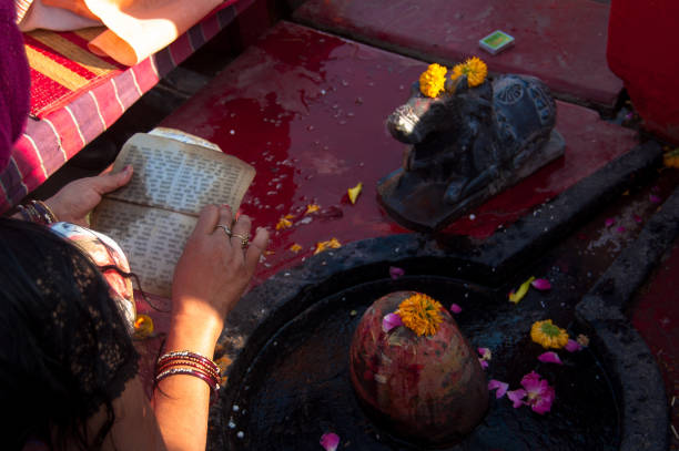 sihasth kumbhmela - nandi - fotografias e filmes do acervo