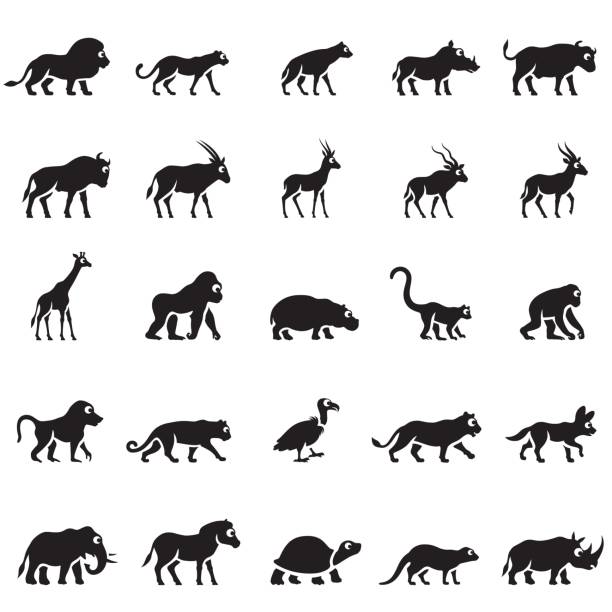 afrikanische tier symbole - tamarin neuweltaffen und hundsaffen stock-grafiken, -clipart, -cartoons und -symbole