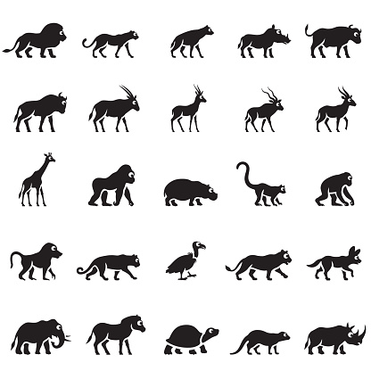 African animals icon set