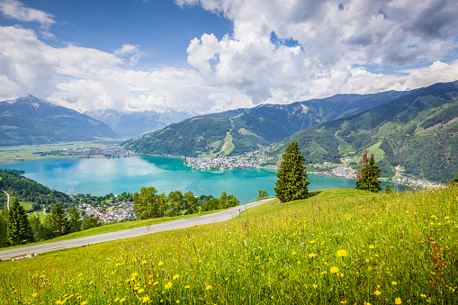 Panoramic view of beautiful scenery in the Alps with clear lake and green meadows full of blooming flowers on a sunny day with blue sky and clouds in springtime, Zell am See, Salzburger Land, Austria