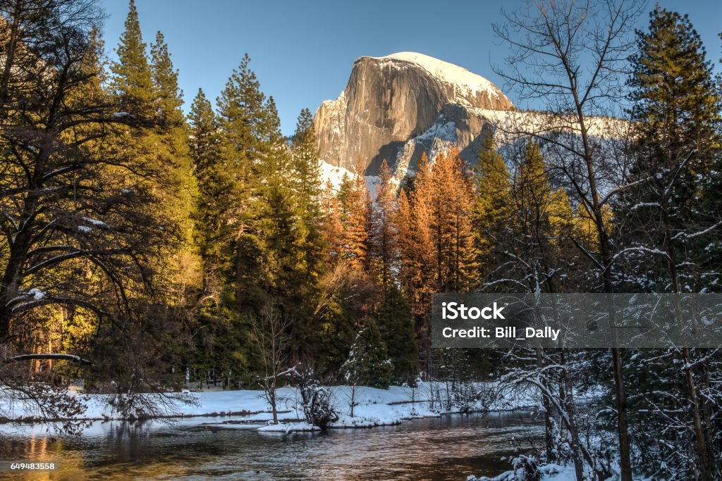 Half Dome from Sentinal Bridge Half Dome peeks above colorful trees that line the Merced River in Yosemite National Park. California Stock Photo