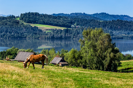Czorsztyn lake in Podhale region, Poland