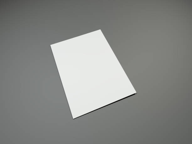 istock Blank portrait A4, US-Letter, brochure magazine mockup on gray. 649484752