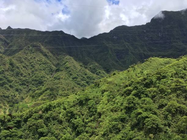istock Landscape on Tahiti 649503976