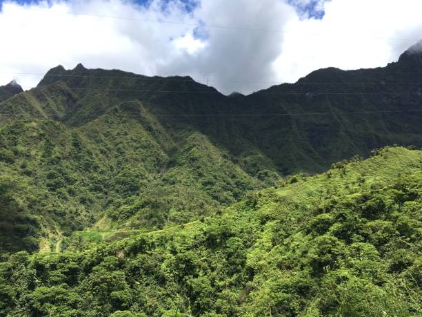 istock Landscape on Tahiti 649503982