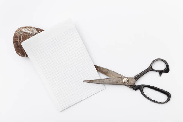 istock Rock, paper, scissors is best choice way to decision making 649504542