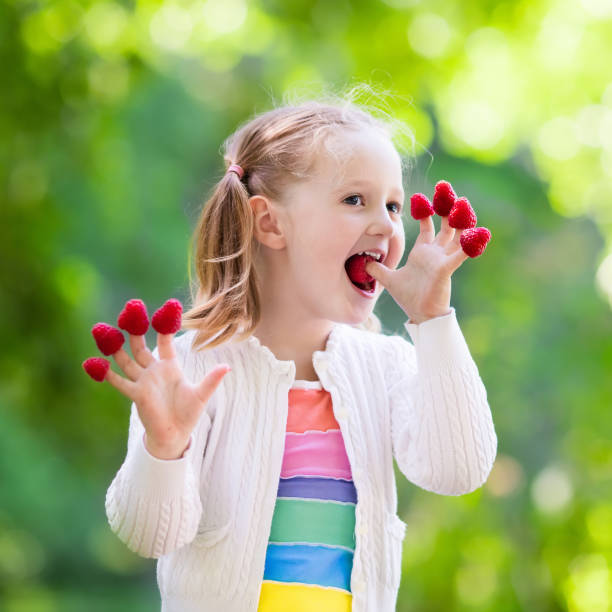 istock Child picking and eating raspberry in summer 649511398