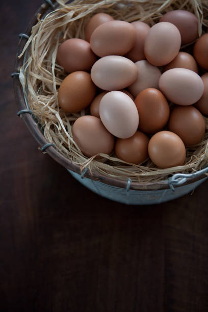 istock Fresh Farm Chicken Eggs in Wire Basket Close Up 649514530