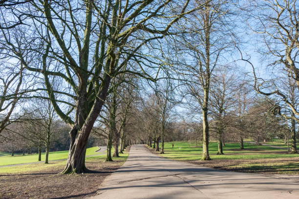 istock Roundhay Park, Leeds, United Kingdom. 649515164