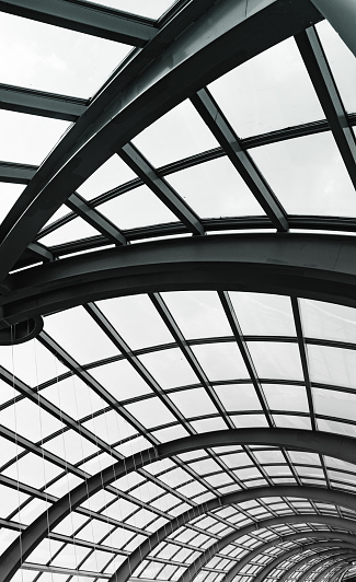 New modern building with glass roof looking up through glass house ceiling - Black and White