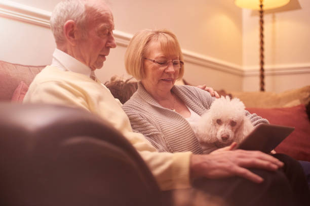 istock Senior couple doing some online shopping 649541324